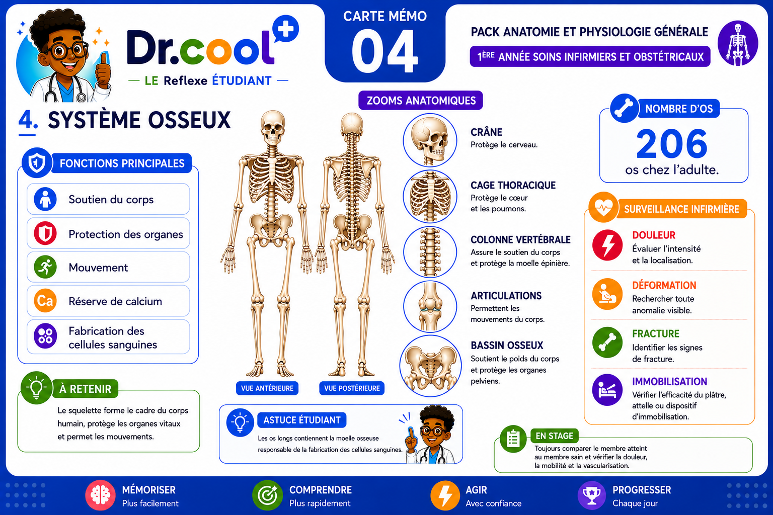 [PLACEHOLDER] Système Osseux
