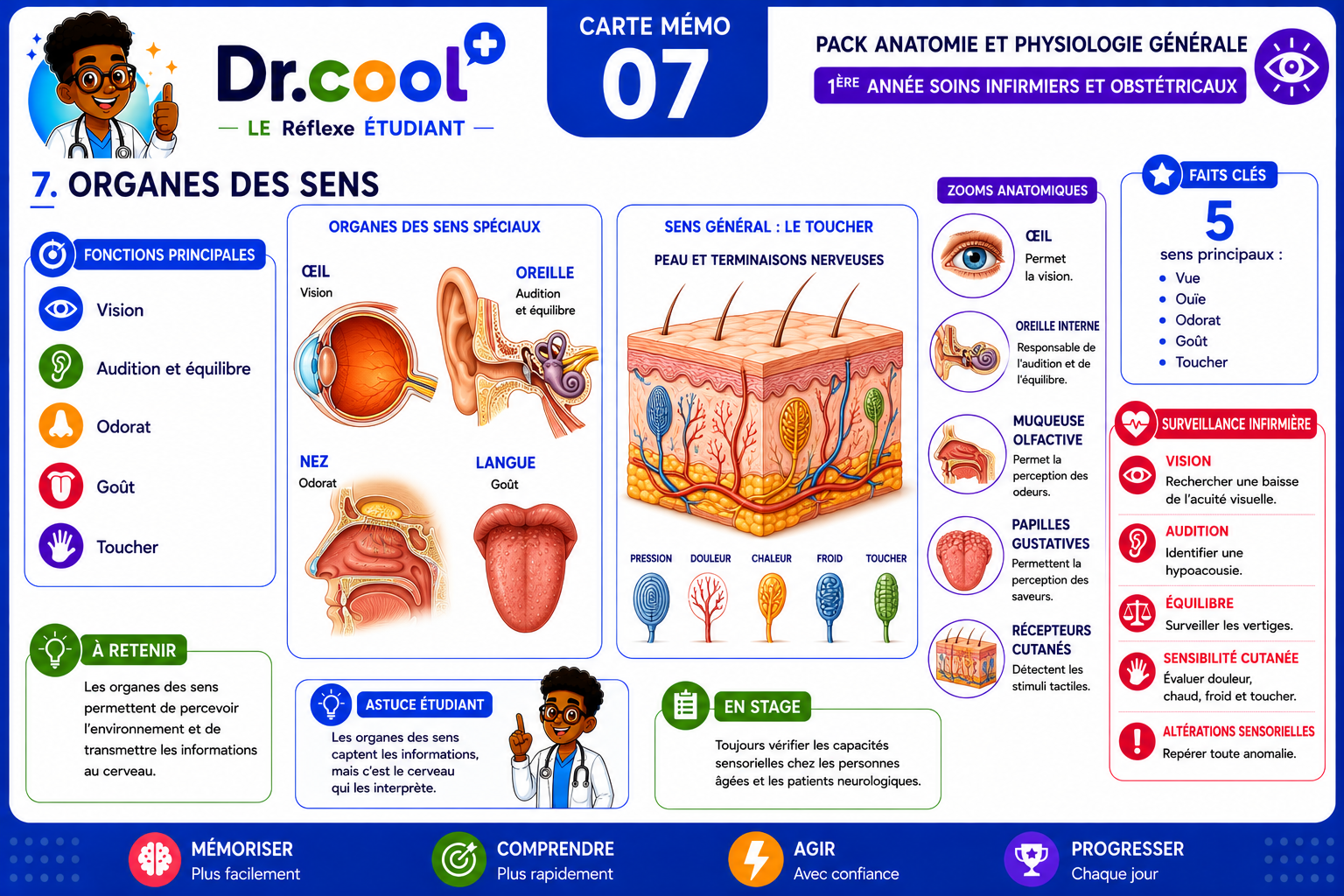 [PLACEHOLDER] Organes des Sens