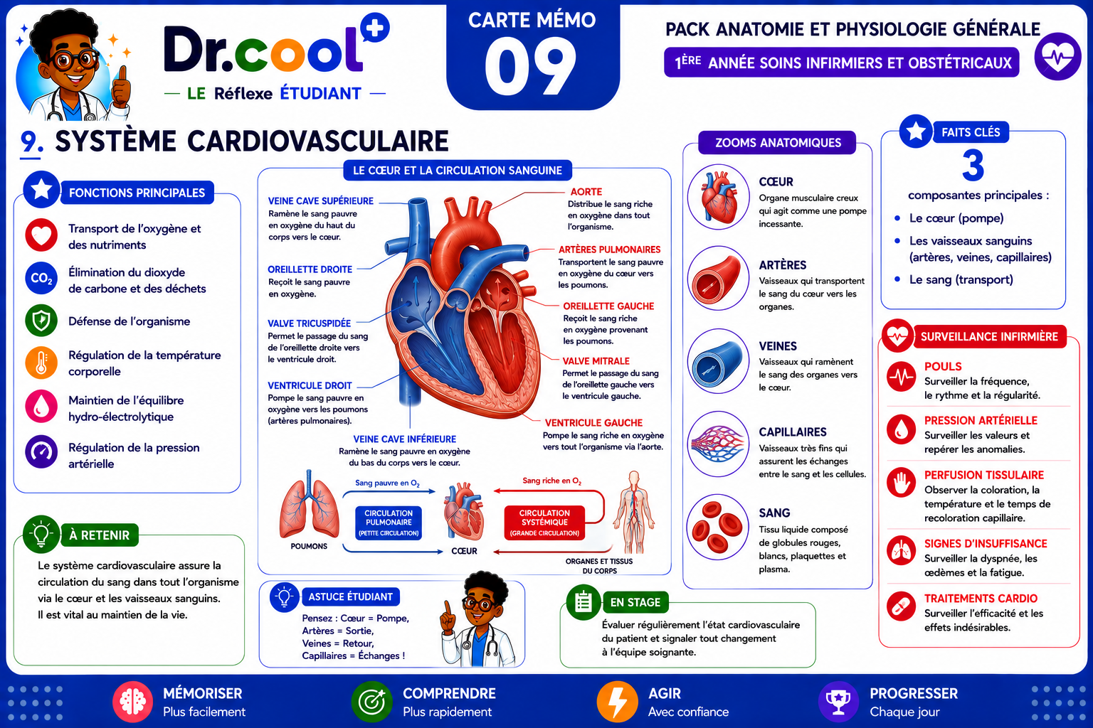[PLACEHOLDER] Système Cardiovasculaire