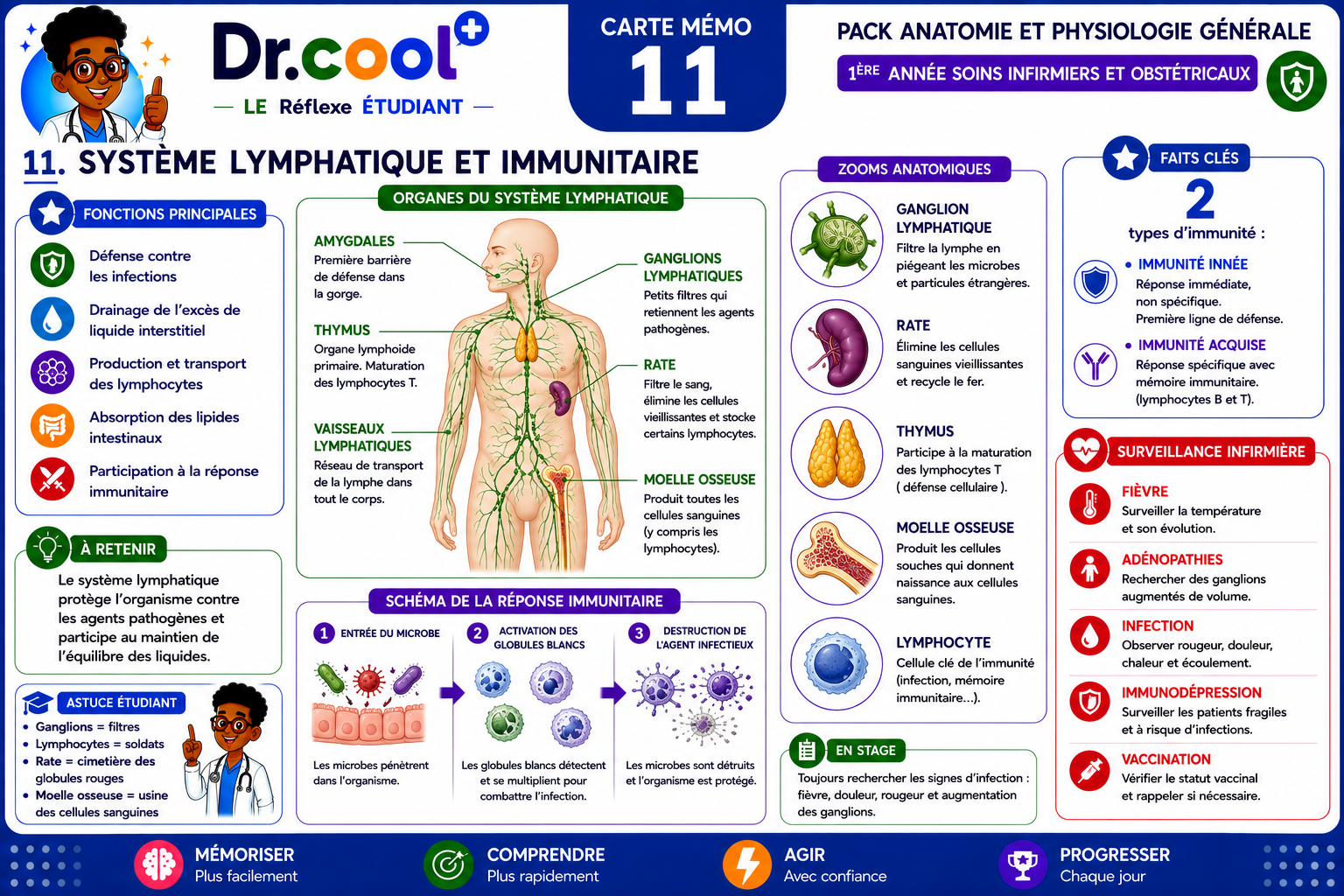 [PLACEHOLDER] Système Lymphatique et Immunitaire