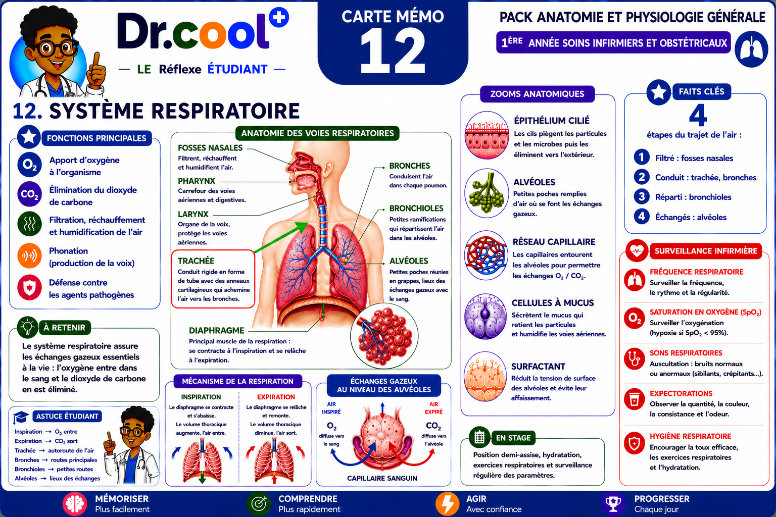 [PLACEHOLDER] Système Respiratoire
