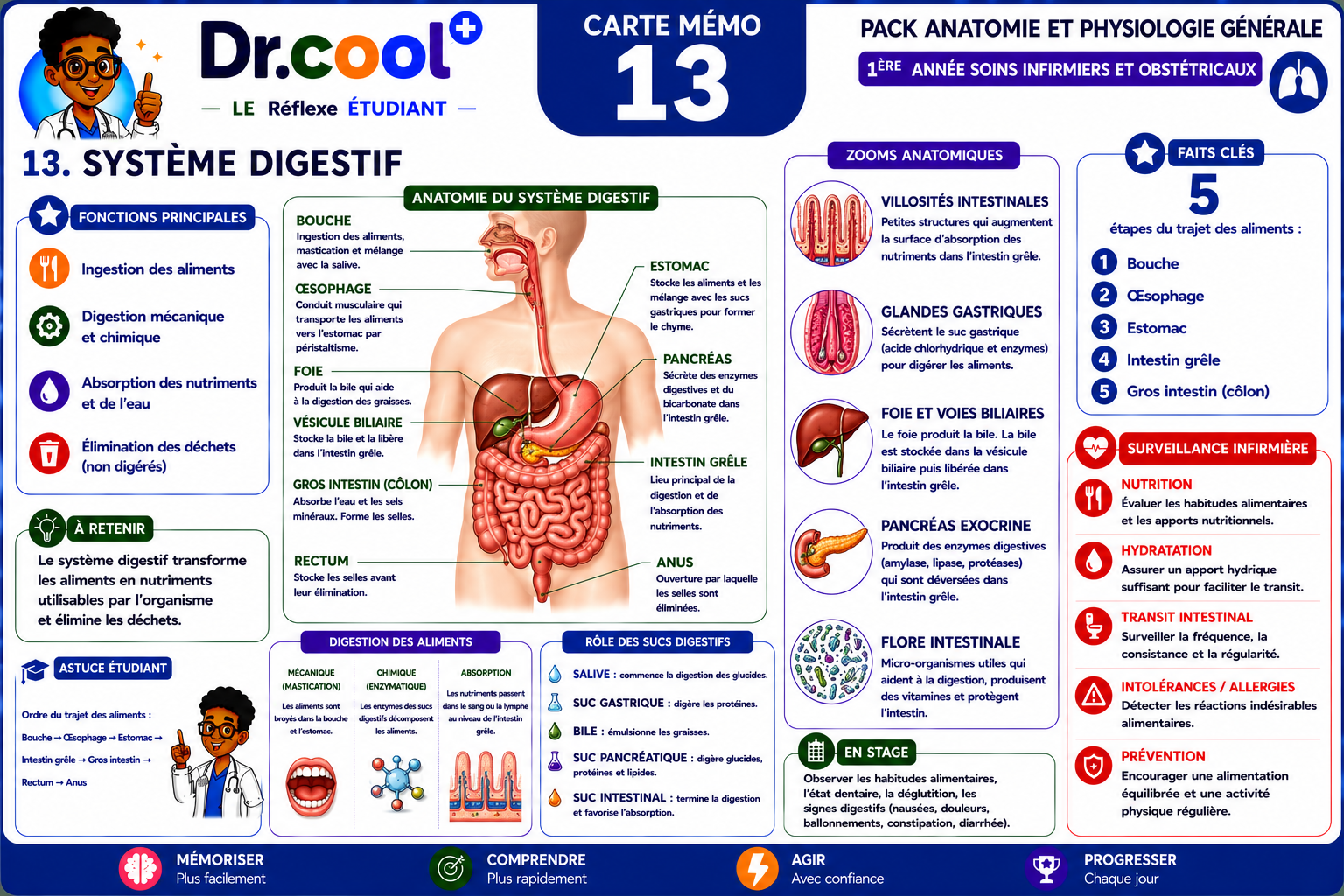 [PLACEHOLDER] Système Digestif