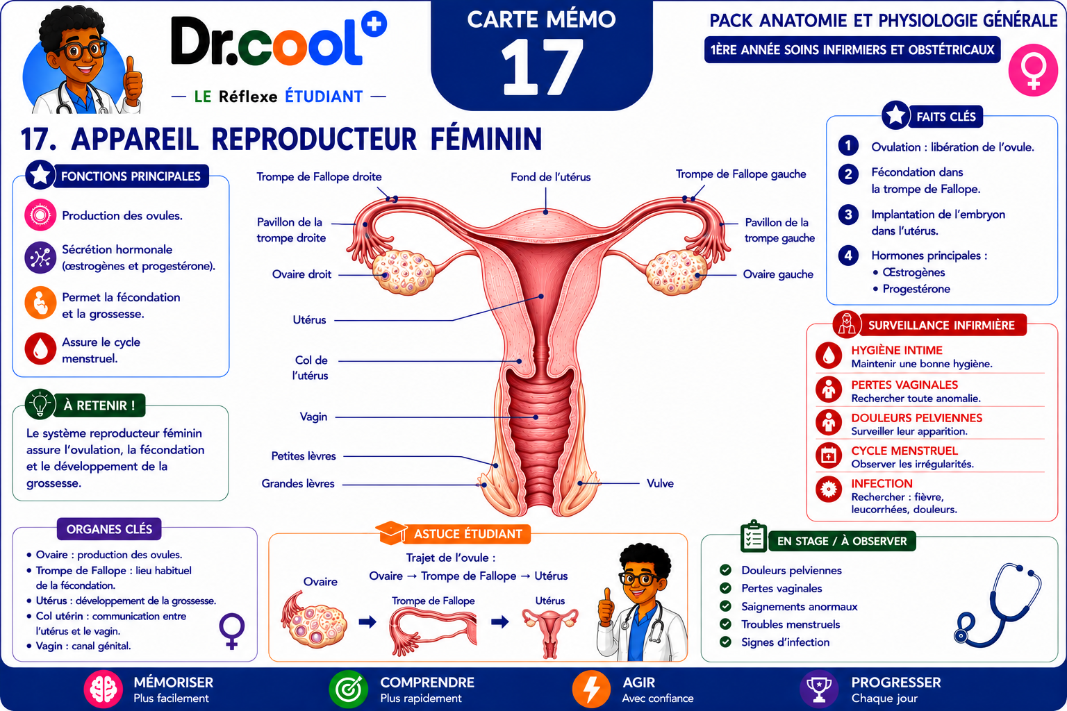 [PLACEHOLDER] Appareil Reproducteur Féminin