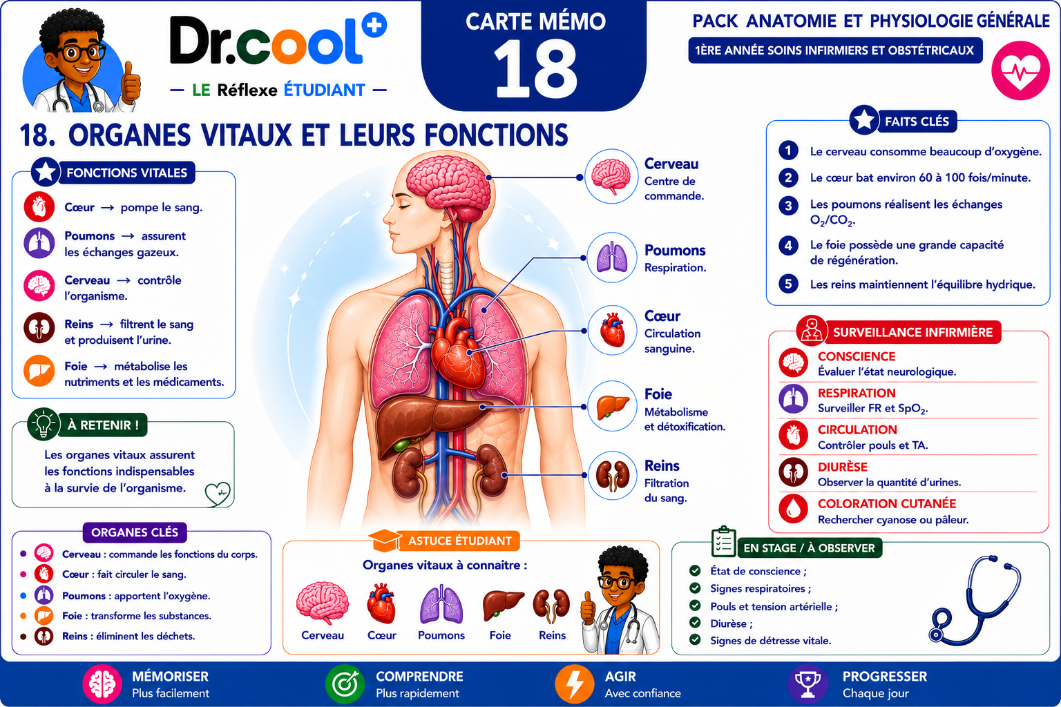 [PLACEHOLDER] Organes Vitaux et Leurs Fonctions