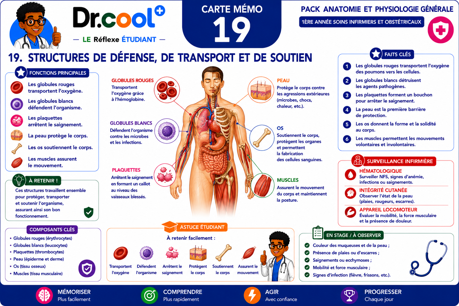 [PLACEHOLDER] Structures de Défense, de Transport et de Soutien