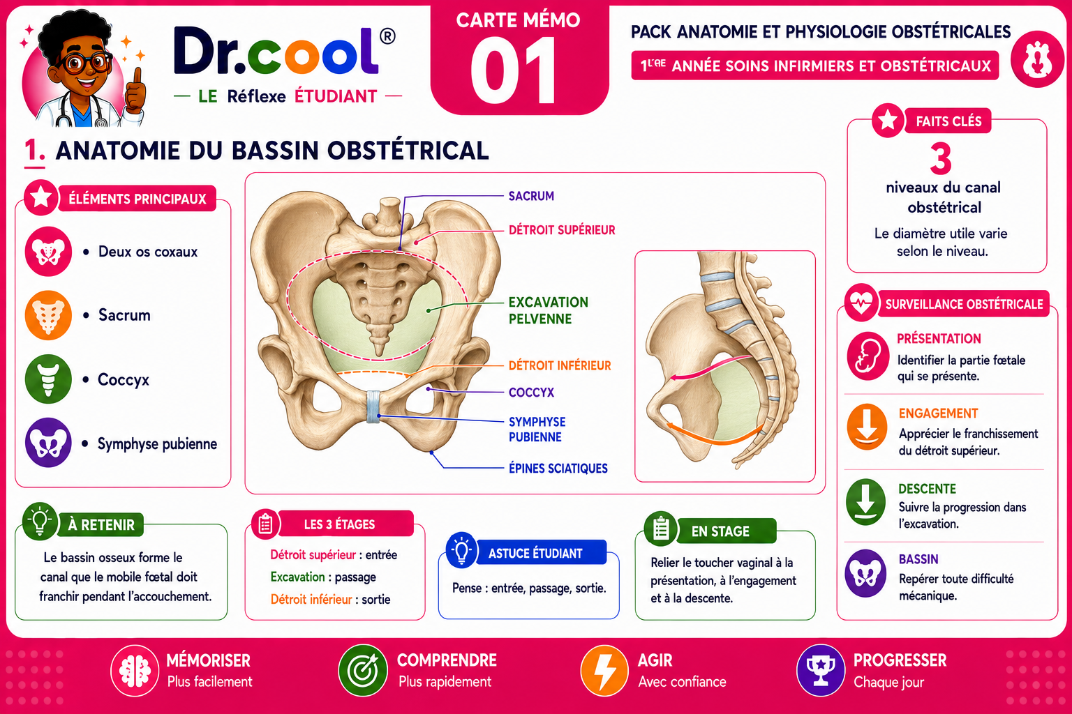Pack Anatomie et Physiologie Obstétricales